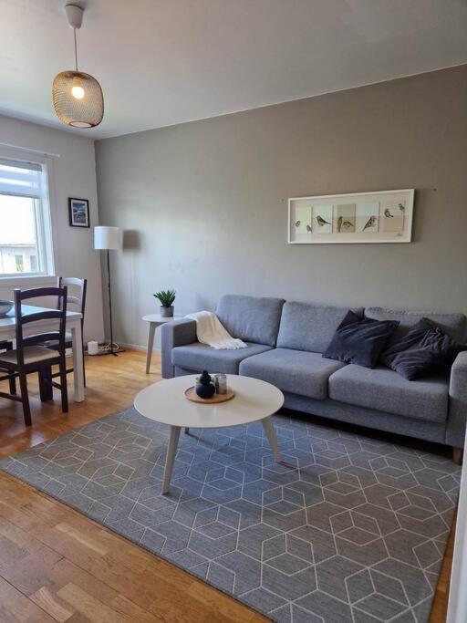 Apartment In Downtown Ρέυκιαβικ Εξωτερικό φωτογραφία