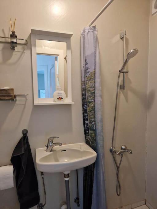 Apartment In Downtown Ρέυκιαβικ Εξωτερικό φωτογραφία
